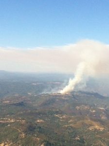 Vegetation Fire In Tuolumne County