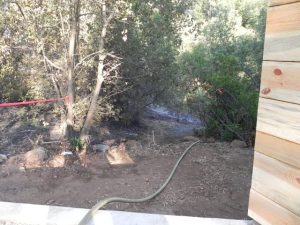 Foothill-Friendly Gardening: Fire and Water
