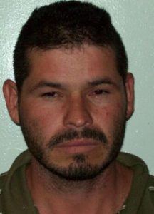 Two Arrested For Marijuana Grow
