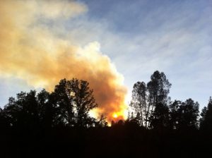 Residents Return Near Armario Fire