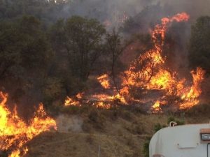 Armario Fire Is Out