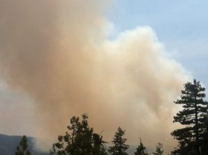 Forest Officials: Escaped Campfire Started Wildfire