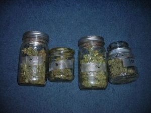 New Medical Marijuana Laws