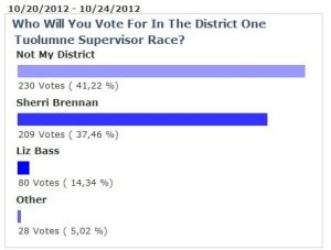 Informal Board of Supervisor Polls