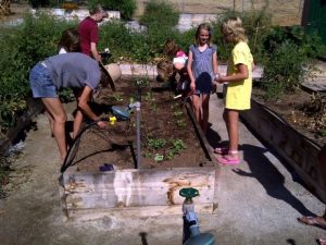Winterizing Your Garden Soil