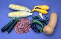 Vegetables