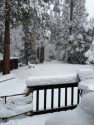 Snow Above Twain Harte - Elevation 4,415