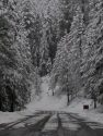 Snow On Road