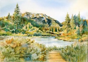 Last Chance For Forest Art