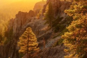 Update: Fire Weather Watch Issued For The Mother Lode, Stanislaus Forest
