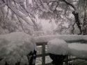 Columbia Snow