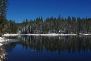 Winter Drought Relief