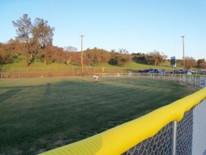 A Big Score in Calaveras County