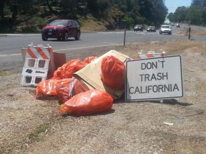 A Fleet Of Trash