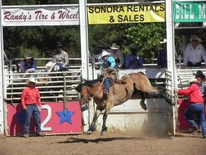 Parade Winners And Rodeo Video