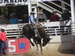 Rounding Up Kids