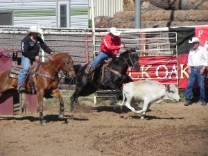 Get Ready For The Round-Up