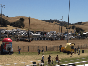 Fair Attendance Up