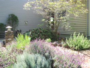Water-Saving Landscape Featured on Garden Tour