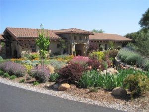 Sustainable Landscaping