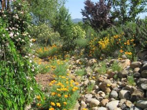 Lessons from the Desert