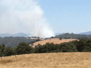 Fire Grows To 40 Acres