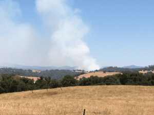 Firefighters Making Progress