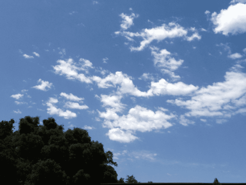 Heat Wave