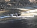 Water Running Into Storm Drain