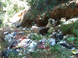 Homeless Picking Up Trash