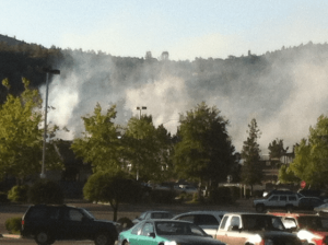 Vegetation Fire In Sonora