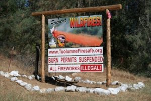A Proposal To Address Wildfires