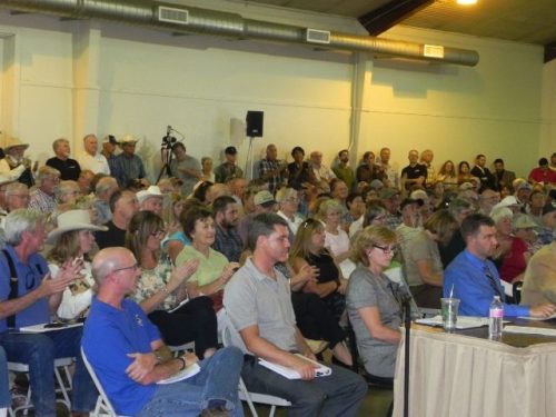 Frog And Toad Hearing At Mother Lode Fairgrounds