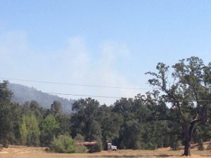 Vegetation Fire In Tuolumne County