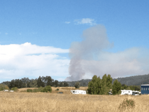 Vegetation Fire Near Columbia