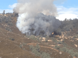 Bridges Fire Alert