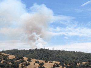 Update: Bridges Fire 60 Acres