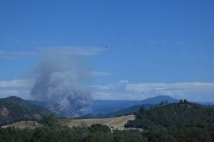 Second Fire In Forest