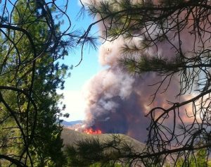 Rim Fire In Stanislaus National Forest