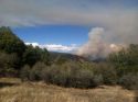 Rim Fire in Stanislaus National Forest2