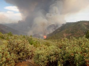 Rim Fire Destroys Two Homes