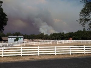 Rim Fire