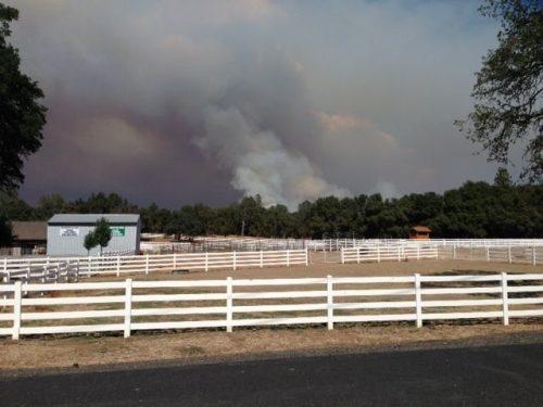 Rim Fire