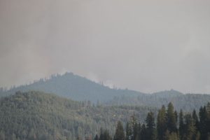 BOFG Cancels Classes Again