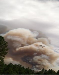 Buchanan Road In Tuolumne Closed