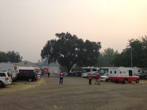 184 At Rim Fire Evacuation Center