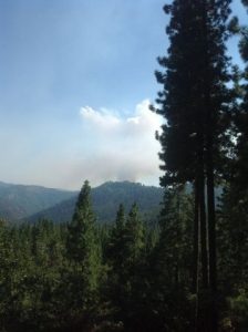 Rim Fire 15% Contained: Wind Remains A Concern