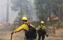Forest Service Firefighters