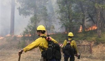 Forest Service Firefighters