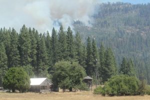 Little Rim Fire Growth